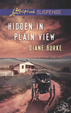 Diane Burke Hidden in Plain View обложка книги