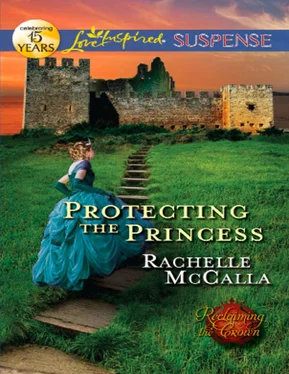 Rachelle McCalla Protecting the Princess обложка книги
