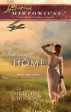 Christine Johnson Soaring Home обложка книги