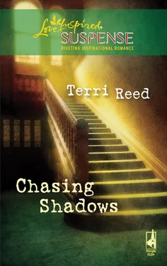 Terri Reed Chasing Shadows обложка книги