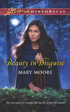 Mary Moore Beauty in Disguise обложка книги