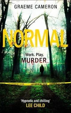 Graeme Cameron Normal: The Most Original Thriller Of The Year обложка книги