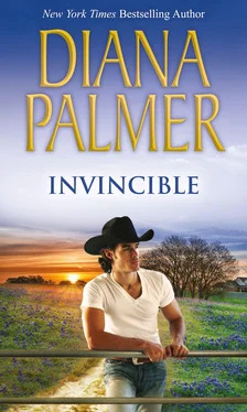 Diana Palmer Invincible обложка книги