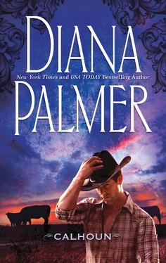 Diana Palmer Calhoun обложка книги