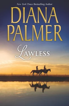 Diana Palmer Lawless обложка книги