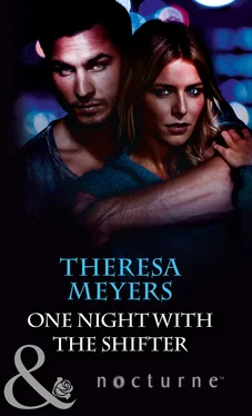 Theresa Meyers One Night with the Shifter обложка книги