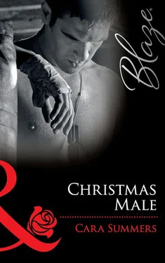 Cara Summers Christmas Male обложка книги