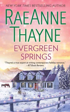 RaeAnne Thayne Evergreen Springs обложка книги