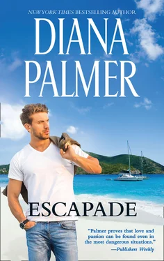 Diana Palmer Escapade обложка книги