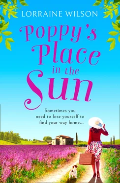 Lorraine Wilson Poppy’s Place in the Sun обложка книги