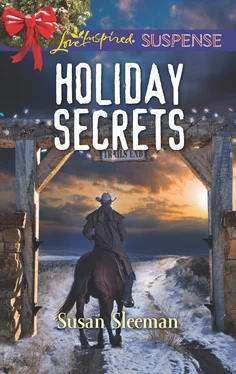 Susan Sleeman Holiday Secrets обложка книги