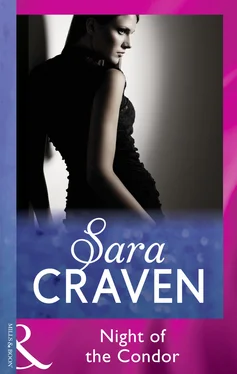 Sara Craven Night Of The Condor обложка книги