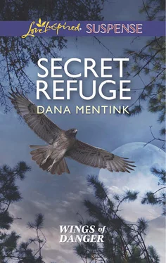 Dana Mentink Secret Refuge обложка книги