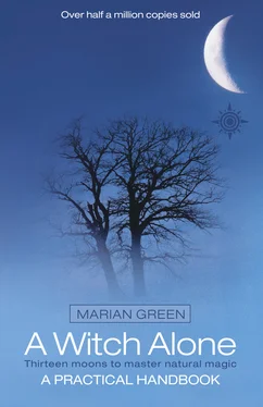 Marian Green A Witch Alone обложка книги