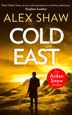 Alex Shaw Cold East обложка книги