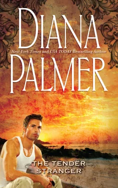 Diana Palmer Tender Stranger обложка книги