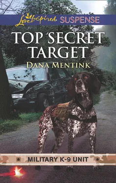 Dana Mentink Top Secret Target обложка книги