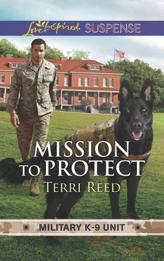 Terri Reed Mission To Protect обложка книги
