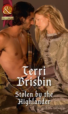 Terri Brisbin Stolen by the Highlander обложка книги