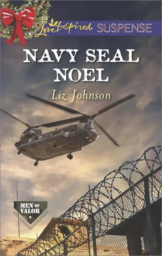 Liz Johnson Navy SEAL Noel обложка книги