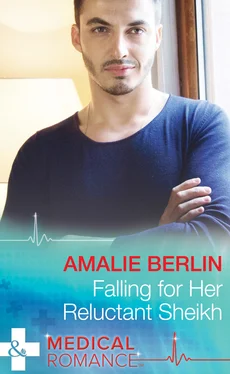 Amalie Berlin Falling For Her Reluctant Sheikh обложка книги