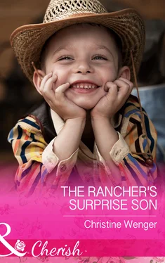 Christine Wenger The Rancher's Surprise Son обложка книги