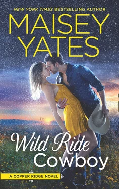 Maisey Yates Wild Ride Cowboy обложка книги