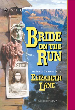 Elizabeth Lane Bride On The Run обложка книги