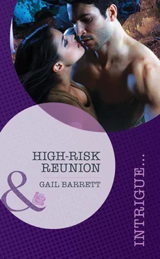 Gail Barrett High-Risk Reunion обложка книги