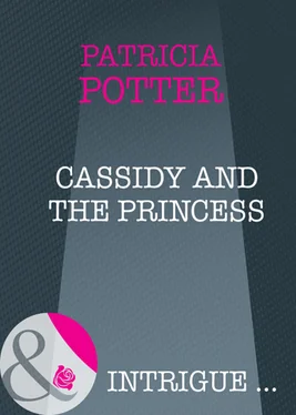 Patricia Potter Cassidy and the Princess обложка книги
