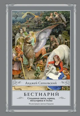 Анджей Сапковский Бестиарий. Создания света, мрака, полумрака и тьмы обложка книги