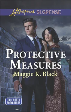 Maggie K. Black Protective Measures обложка книги