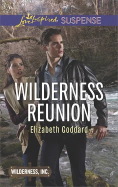 Elizabeth Goddard Wilderness Reunion обложка книги