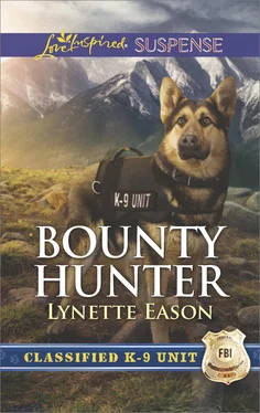 Lynette Eason Bounty Hunter обложка книги