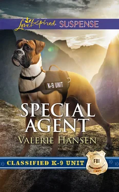 Valerie Hansen Special Agent обложка книги