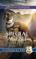 Valerie Hansen - Special Agent