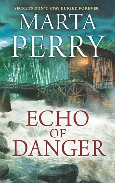 Marta Perry Echo Of Danger обложка книги