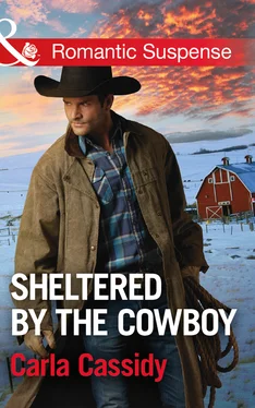 Carla Cassidy Sheltered By The Cowboy обложка книги