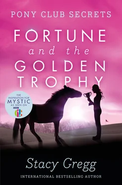 Stacy Gregg Fortune and the Golden Trophy обложка книги