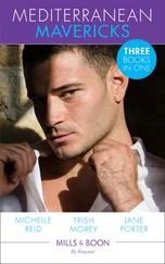 Jane Porter - Mediterranean Mavericks