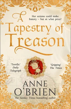 Anne O'Brien A Tapestry of Treason обложка книги