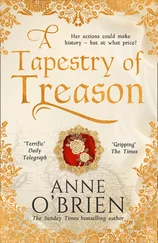 Anne O'Brien - A Tapestry of Treason