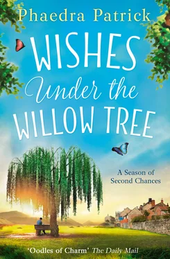 Phaedra Patrick Wishes Under The Willow Tree обложка книги