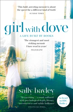 Sally Bayley Girl With Dove обложка книги