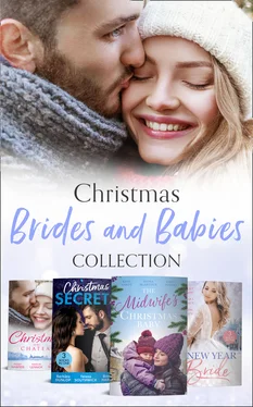 Rebecca Winters Christmas Brides And Babies Collection обложка книги