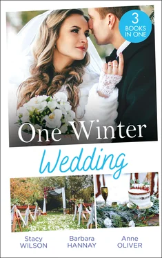 Barbara Hannay One Winter Wedding обложка книги