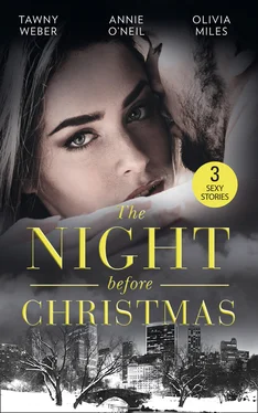 Tawny Weber The Night Before Christmas обложка книги