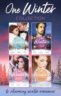 Rebecca Winters The One Winter Collection обложка книги