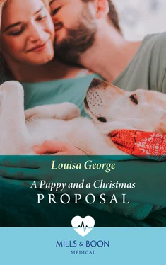 Louisa George A Puppy And A Christmas Proposal обложка книги