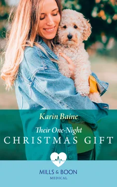 Karin Baine Their One-Night Christmas Gift обложка книги